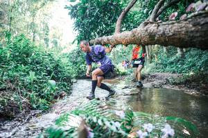 BIB: 
                            <button type="button" onclick="openModal(25446339)" class="btn btn-primary btn-sm float-right btn-popup" data-toggle="modal" data-target=".modal-high-quality">
                        <i class="fas fa-shopping-cart"></i> Add to Cart
                    </button>
                                            <button type="button" onclick="isThisMe(25446339, true)" class="btn btn-success btn-sm float-right btn-popup btn-isme hidden" data-toggle="tooltip" data-placement="bottom" title="นี่คือรูปของคุณใช่ไหม คลิกที่นี่เพื่อเอาเข้าอัลบั้ม">
                        <i class="fas fa-plus"></i> Add to album
                    </button>
                    <button type="button" onclick="isThisMe(25446339, false)" class="btn btn-warning btn-sm float-right btn-popup btn-isnotme hidden">
                        <i class="fas fa-ban"></i> Remove from album
                    </button>